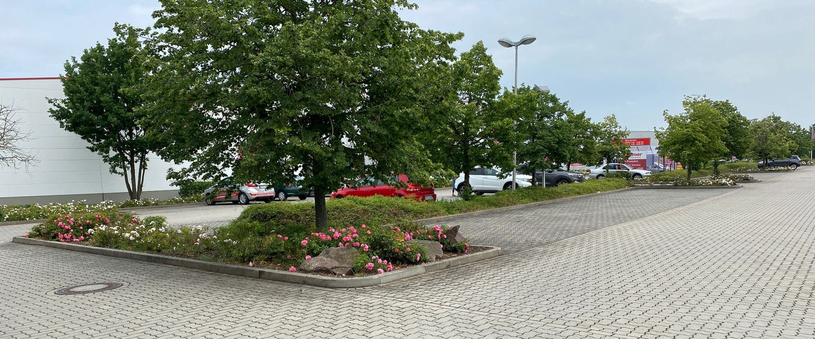 Grünpflege 5