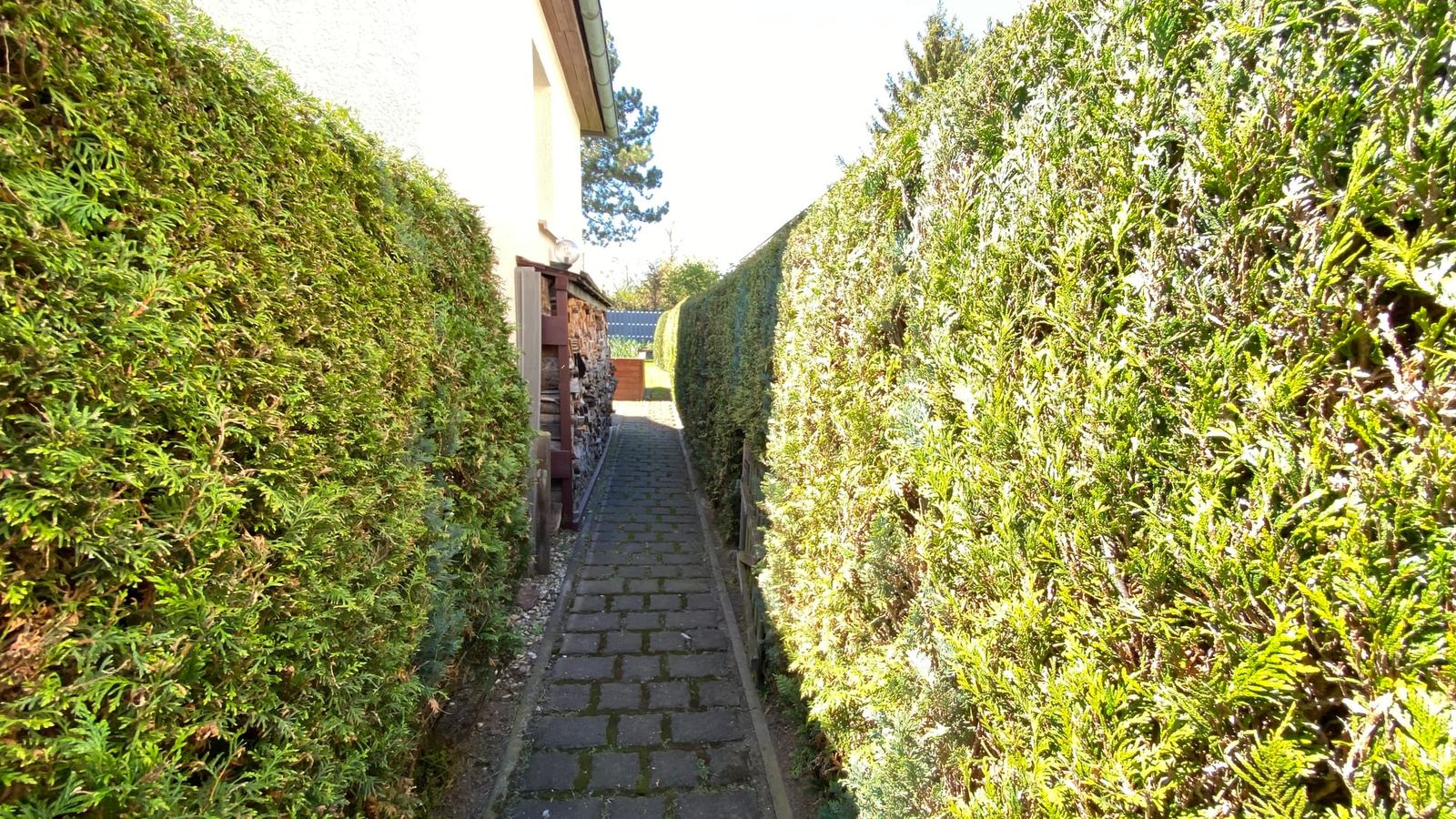 Grünpflege 9