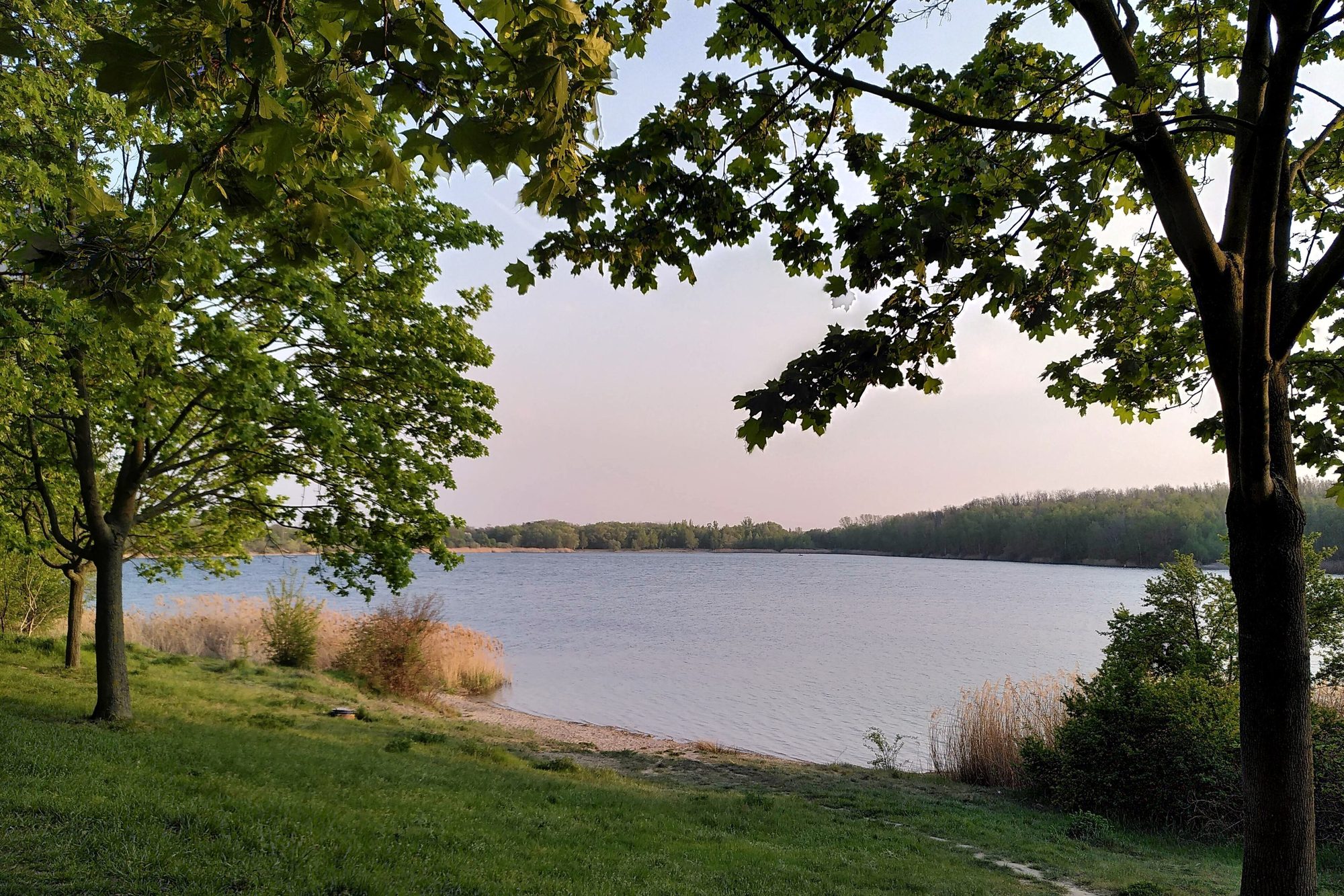 Kulkwitzer See